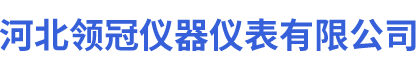 沛_领冠仪器仪表有限公司